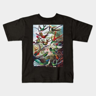 Trochilidae–Kolibris from Kunstformen der Natur (1904) by Ernst Haeckel. Kids T-Shirt